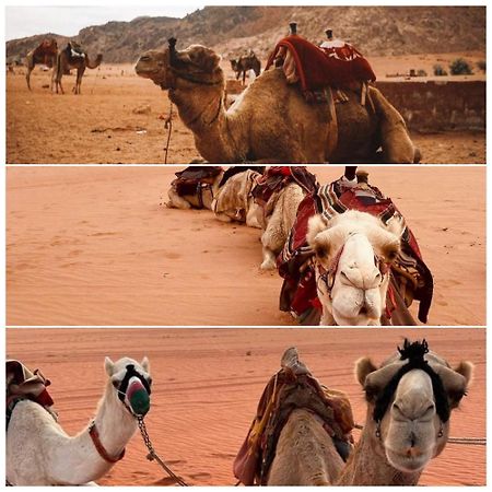 Wadi Rum Rozana Camp Экстерьер фото
